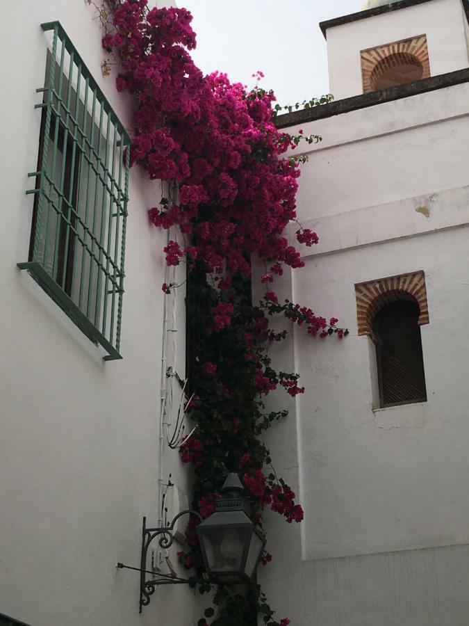 Apartamentos La Hoguera Córdoba Exterior foto